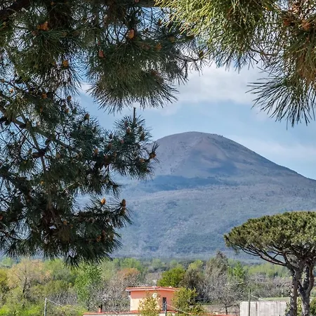 Torremerlata Alojamento de Acomodação e Pequeno-almoço