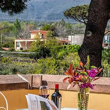 Torremerlata