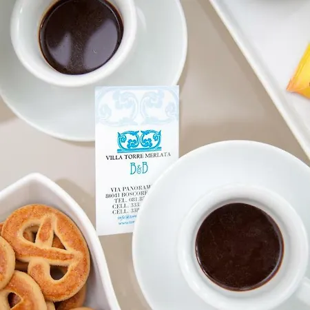 Panzió Torremerlata