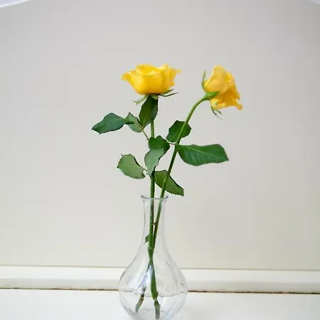 Torremerlata Panzió