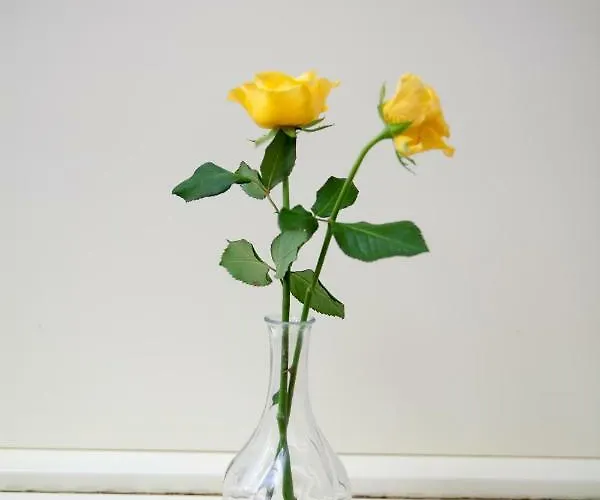 Torremerlata فندق مبيت وإفطار